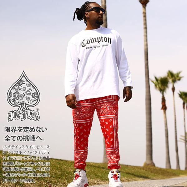 ACE FLAG 上下セット 長袖 ブランド Tシャツ ロンT ロングパンツ 大きいサイズ エースフ...