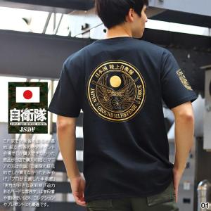 Tシャツ 航空自衛隊 F-35A ライトニングII 黒 半袖 ドライ(サイズ:S/M