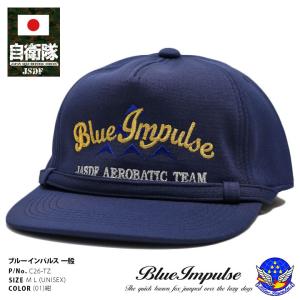 航空自衛隊 アグレッサー キャップ 帽子 メッシュ 男女兼用 大人