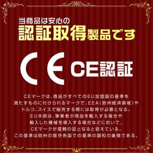 レバーホイストブロック 0.5t 500kg ...の詳細画像5