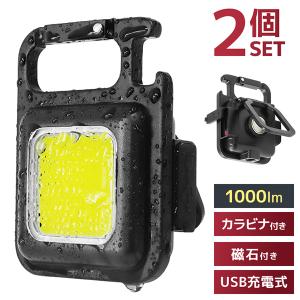 LEDライト LED 投光器 ミニ 作業灯 2個セット 小型 懐中電灯 屋外 ワークライト ランタン 屋外 キャンプ 軽い 充電式 磁石 整備 修理 夜間 COB 防水 WEIMALL