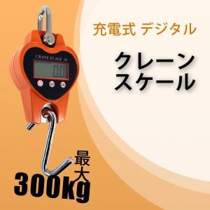 クレーンスケール 充電式  デジタルクレーンスケール 0.3t　300kg　スケール 吊りはかり｜weimall