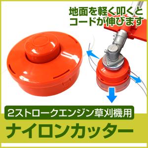 P5倍）（クーポンで最大1500円OFF）（メール便）小林産業 プラッター楽