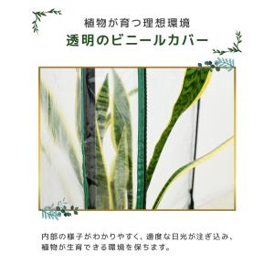 ビニールハウス 温室 ガーデンハウス 組み立て...の詳細画像4