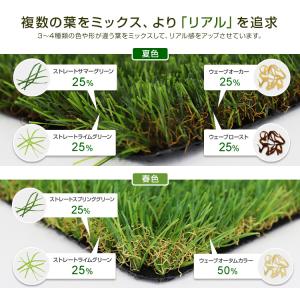人工芝 ロール 1m×10m 高密度 芝丈35...の詳細画像4