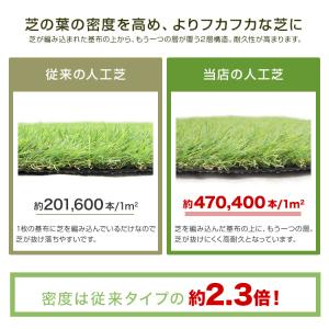 人工芝 ロール 1m×10m 高密度 芝丈35...の詳細画像5