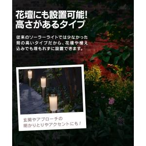 ソーラーライト 屋外 LED ガーデンライト ...の詳細画像5