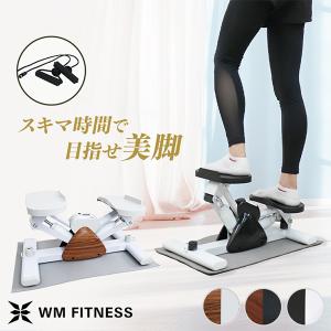 ステッパー サイドステッパー ツイスト エアロス...の商品画像
