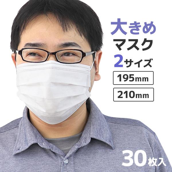 マスク 大きめ 不織布  男性 三層構造 平ゴム仕様 立体プリーツ 使い捨て メンズ 大人用 白 大...