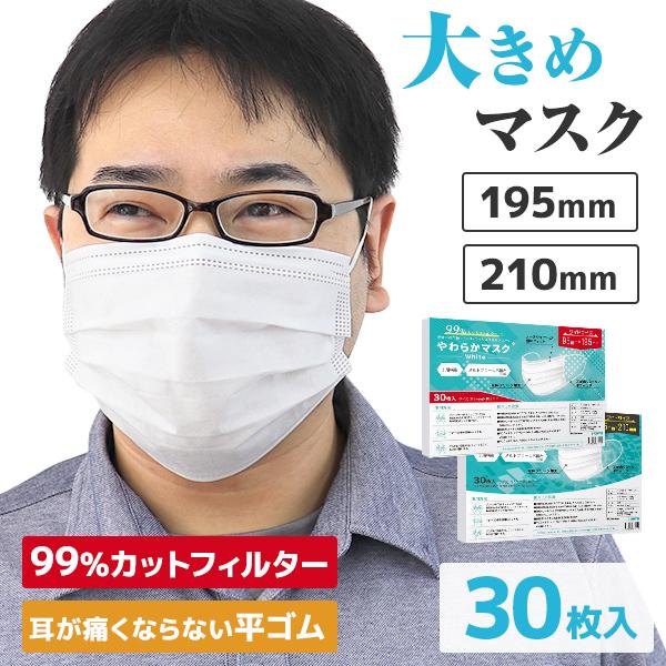 マスク 大きめ 2サイズ 不織布 10枚ずつ個包装 男性 三層構造 平ゴム仕様 立体プリーツ 使い捨...