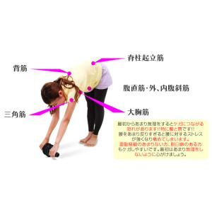 腹筋ローラー エクササイズローラー アブホイー...の詳細画像5