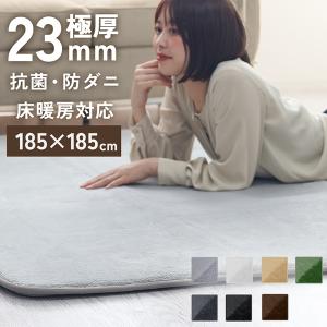 ラグ カーペット ラグマット 洗える 2畳 185x185cm 厚手23mm 極厚 おしゃれ 低反発ラグ 抗菌 防ダニ 滑り止め付き 絨毯 オールシーズン 夏 秋 冬 北欧