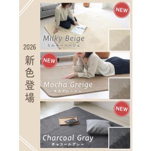 ラグ カーペット ラグマット 洗える 3畳 2...の詳細画像1