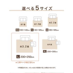 ラグ カーペット ラグマット 洗える 3畳 2...の詳細画像3