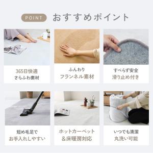 ラグ カーペット ラグマット 洗える 1.5畳...の詳細画像5