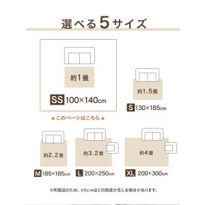ラグ カーペット ラグマット 洗える 1畳 1...の詳細画像3
