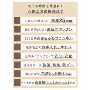 ラグ カーペット 高反発ラグマット 3畳 厚手...の詳細画像4
