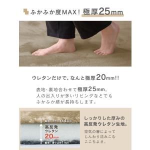 ラグ カーペット 高反発ラグマット 3畳 厚手...の詳細画像5