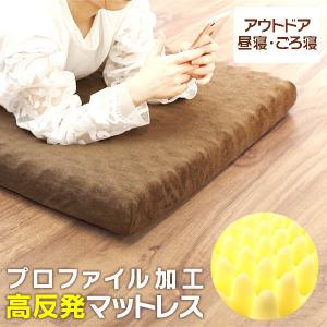 トゥルースリーパー 【正規品】 新品 TrueSleeper ごろ寝マット