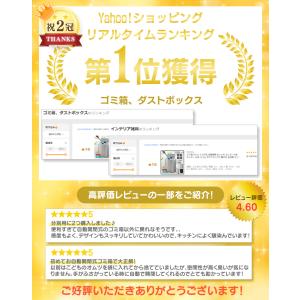 ゴミ箱 45リットル対応 自動開閉 おしゃれ ...の詳細画像2