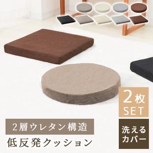 トゥルースリーパー（True Sleeper） 低反発座布団 FN005940 【正規品