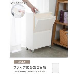 ゴミ箱 30L 収納ボックス 分別ごみ箱 スリ...の詳細画像1