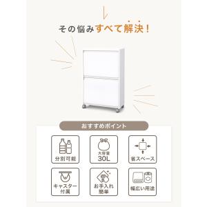 ゴミ箱 30L 収納ボックス 分別ごみ箱 スリ...の詳細画像4
