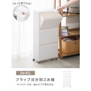 ゴミ箱 45L 収納ボックス 分別ごみ箱 スリ...の詳細画像1
