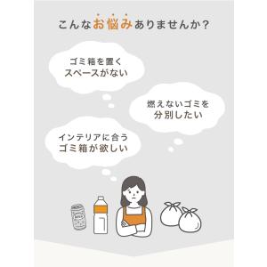ゴミ箱 45L 収納ボックス 分別ごみ箱 スリ...の詳細画像3