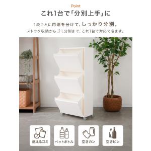 ゴミ箱 45L 収納ボックス 分別ごみ箱 スリ...の詳細画像5