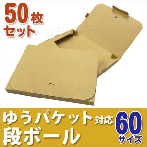 WEIMALL 段ボール ゆうパケット用ダンボール 100枚セット A4