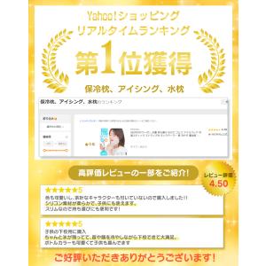 氷嚢 持ち運び 氷のう ゴルフ アイスパック ...の詳細画像1