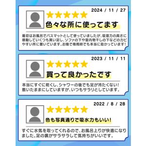 珪藻土バスマット 成分調査済 ノンアスベスト ...の詳細画像2