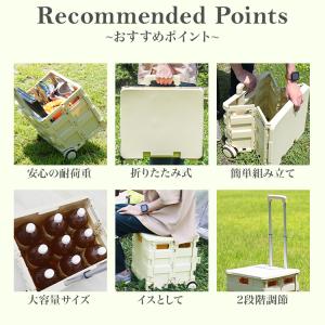 キャリーカート 折りたたみ ショッピングカート...の詳細画像2