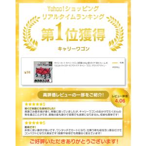 キャリーカート キャリーワゴン 耐荷重150k...の詳細画像1
