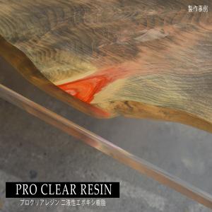 プロクリアレジン 21.6kgセット レジン液...の詳細画像1