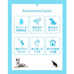 犬 オムツ ペットオムツ 犬のオムツ 犬用 お...の詳細画像2