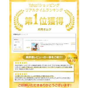 犬 オムツ ペットオムツ 犬のオムツ 犬用 お...の詳細画像1