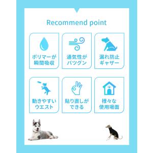 犬 オムツ ペットオムツ 犬のオムツ 犬用 お...の詳細画像2