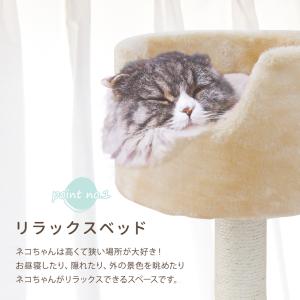 キャットタワー 大型猫用 据え置き スリム キ...の詳細画像4