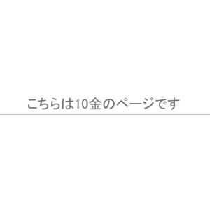 ピアス キャッチ 落ちない K10 ピアスキャ...の詳細画像3