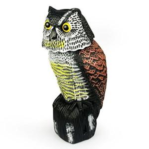 Skycabin 首振りフクロウ本物そっくり フクロウ 鳥よけフクロウ 【怖がらせ駆除・防鳥防獣対策】風に揺れて360度