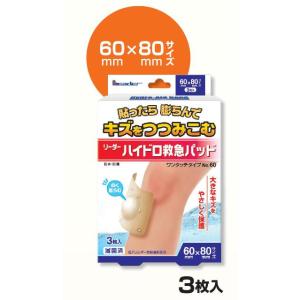 smith＆nephew（スミス・アンド・ネフュー） シカケア 12cm×15cm 1枚入
