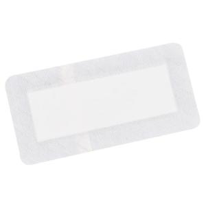 Molnlycke Health Care メピフォーム 10×18cm 5枚入 293400 シリコン