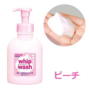 ウォシュボン サラヤ ウォシュボンG 480ml 手洗い用石けん液 殺菌