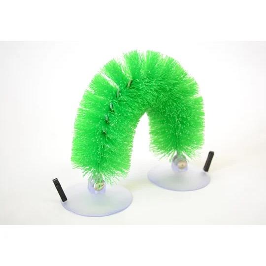 ザイコアインターナショナル 【義歯洗浄ブラシ】自助ブラシ グリーン 00209082