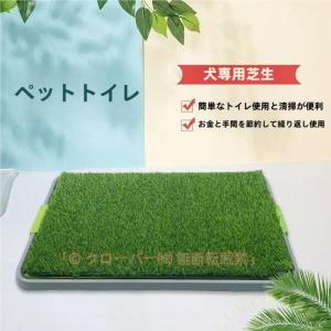 犬のトイレ人工芝付きペットトレー芝生パッドWel...の商品画像