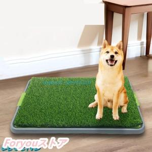 犬のトイレ人工芝付きペットトレー芝生パッドWe...の詳細画像2