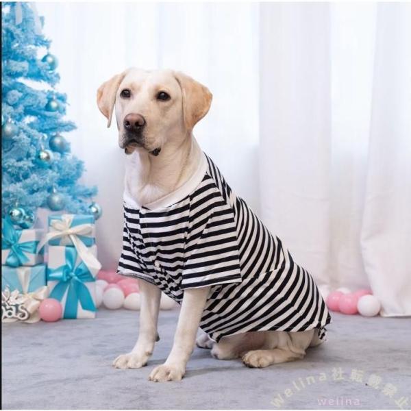 大型犬 服 夏 Tシャツ パジャマ コットン 犬用シャツ Welina サモエド/ゴールデン/ラブラ...