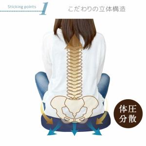 整体師が勧める 座骨サポートクッション 約33...の詳細画像2